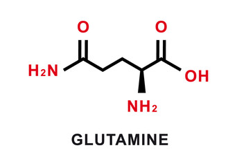 Glutamine chemical formula. Glutamine chemical molecular structure. Vector illustration