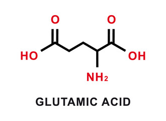 Glutamic acid chemical formula. Glutamic acid chemical molecular structure. Vector illustration