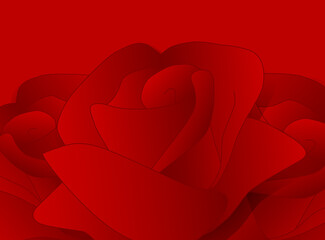 Roses. Rose flower isolated on red. Three red roses on red. Vector illustration