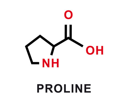 Proline chemical formula. Proline chemical molecular structure. Vector illustration