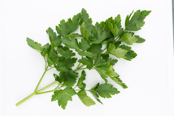 Bio parsley leaf on white background.