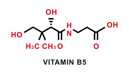 Vitamin B5 chemical formula. Vitamin B5 chemical molecular structure. Vector illustration