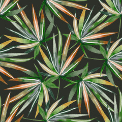 Watercolor Seamless Tropical Pattern Pattern with leaves. Background 