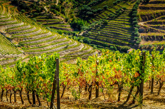 Reportage Portugal