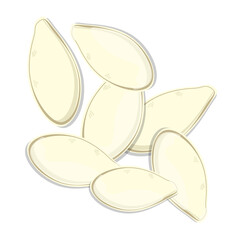Seeds of pumpking illustration vector legumes concept vector