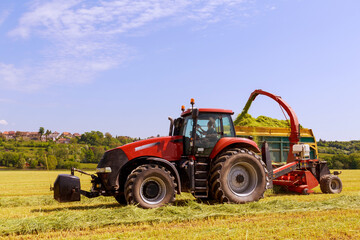 Agricultural machinery in the field, forage harvesting, harvesting. Feed for cows.