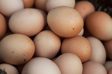 farm bio eggs in a basket with close up