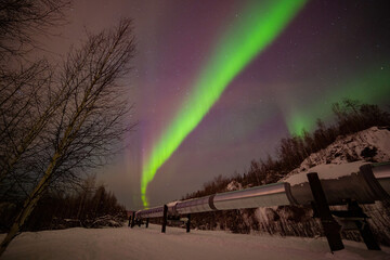 Beauitful aurora over Trans-Alaska Pipeline System