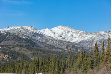 Afternoon landscape in Denali National Park and Preserve