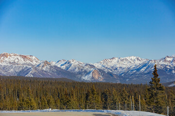 Afternoon landscape in Denali National Park and Preserve