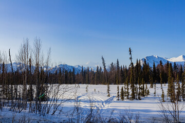 Sunny snowy view of the Denali State Park with Mount McKinley