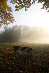 bench in the park