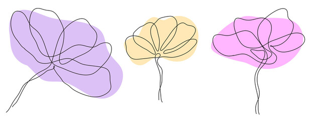 Simple line art spring flowers peonies lily magnolia for logo decor invitation . Vector illustration - obrazy, fototapety, plakaty