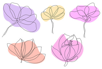 Simple line art spring flowers peonies lily magnolia for logo decor invitation . Vector illustration