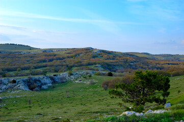 An inspiring scenic summer field landscape.