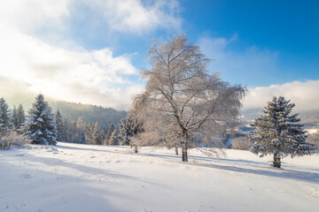 Fototapeta na wymiar Winter landscape with snowy trees and mountains at sunny day. The Mala Fatra national park in northwest of Slovakia, Europe.