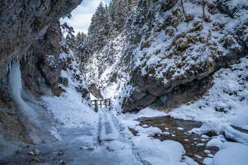 Fototapeta na wymiar Snowy winter landscape with a wooden bridge on tourist trail through a narrow gorge with wild stream. The Mala Fatra national park in Slovakia, Europe.