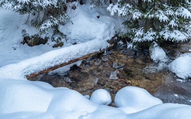 Snowy winter landscape with a wild stream. The Mala Fatra national park in Slovakia, Europe.