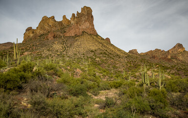 Naklejka na ściany i meble Superstition Mountains of Arizona