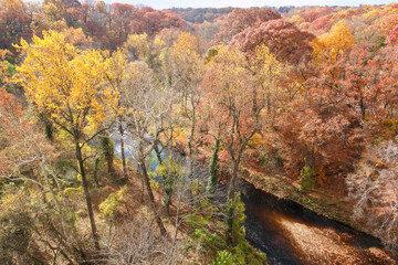 Rock creek in autumn foliage - Washington DC, United States