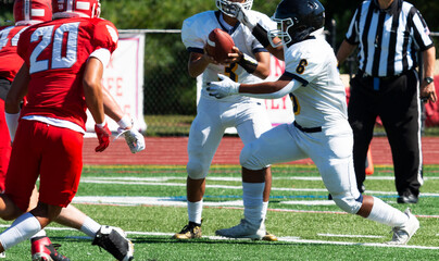 Quarterback handing off to his running back during a football game - Powered by Adobe