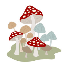 mushrooms