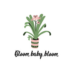 Bloom baby, bloom. Vector illustration. Lettering. Ink illustration.