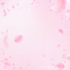 Obraz na płótnie Canvas Sakura petals falling down. Romantic pink flowers vignette. Flying petals on pink square background. Love, romance concept. Immaculate wedding invitation.
