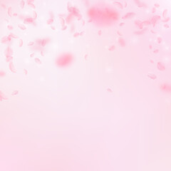 Sakura petals falling down. Romantic pink flowers falling rain. Flying petals on pink square background. Love, romance concept. Great wedding invitation.