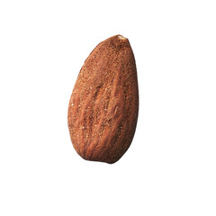  Single almond isolated over white background