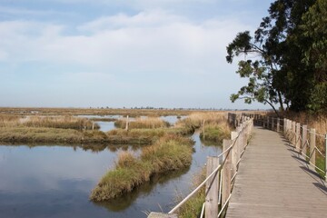 wooden bridge over the lake