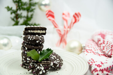 christmas cake with pepper mint  sticks 