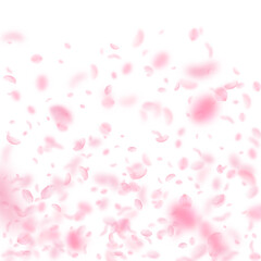 Fototapeta na wymiar Sakura petals falling down. Romantic pink flowers gradient. Flying petals on white square background. Love, romance concept. Dazzling wedding invitation.