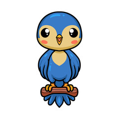 Cute little blue bird cartoon on tree branch