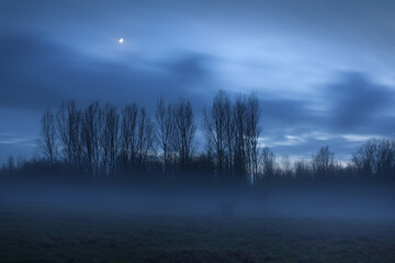 Fototapeta Mglisty wieczór nad łąką pod chmurami i z księżycem obraz