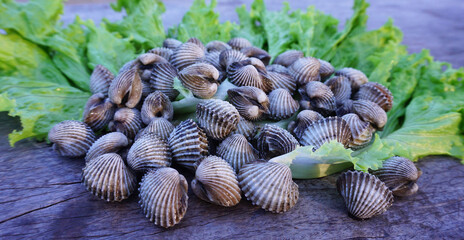 Boiled cockles placed on vegetable salad seafood healthy food iron supplement nourish the blood maintain health is a close-up.