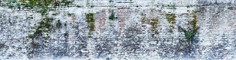  Decay brick wall surface background