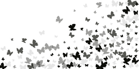 Magic black butterflies cartoon vector wallpaper. Summer beautiful insects. Decorative butterflies cartoon baby background. Delicate wings moths graphic design. Garden creatures.