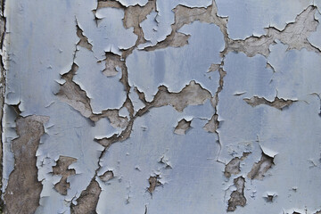Obraz premium Grunge weathered old vintage wall
