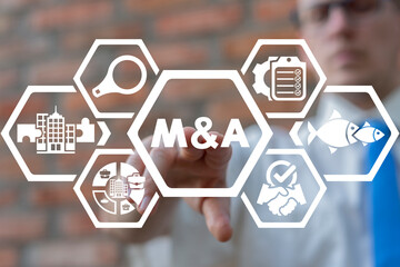Concept of Merger and Acqusition. Mergers and Acqusitions Business Partnership Corporation...