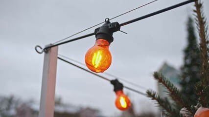  light bulb, decoration, orange, light, outdoor, backyard, bar, bulb, celebration, christmas,...