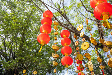 Red lanterns hanging on trees in China for the Chinese new year celebrations.Chinese text...