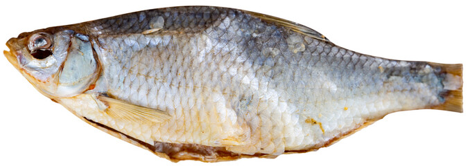 Dried salted roach. Close-up image. Isolated over white background