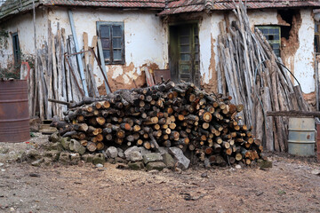 A large pile with cut trees and stumps lined up in front of an old house in the village