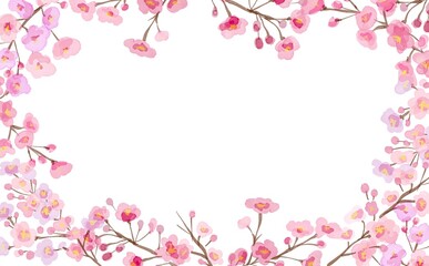 水彩画イラスト。春の桜背景。桜フレーム。枝つきの桜。Watercolor illustration. Spring cherry blossom background. Sakura frame. Cherry blossoms with branches.
