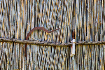 Rusty sickle and pruning shears on a rustic reed fence. Eco tourism concept. Background with copy...