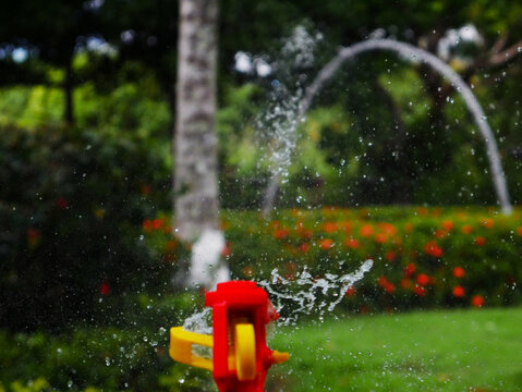 sprinkler in the garden