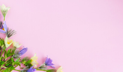 Fototapeta premium Festive spring flat composition of various spring flowers, snowdrop lumbago crocus. Pastel pink background copy space