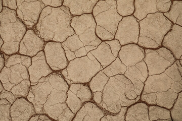 Closeup detail of dry cracked lakebed
