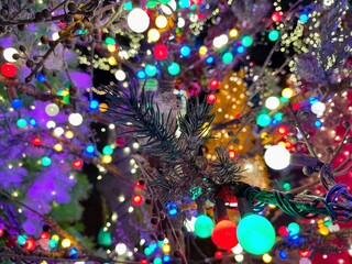 Fototapeta na wymiar christmas tree lights